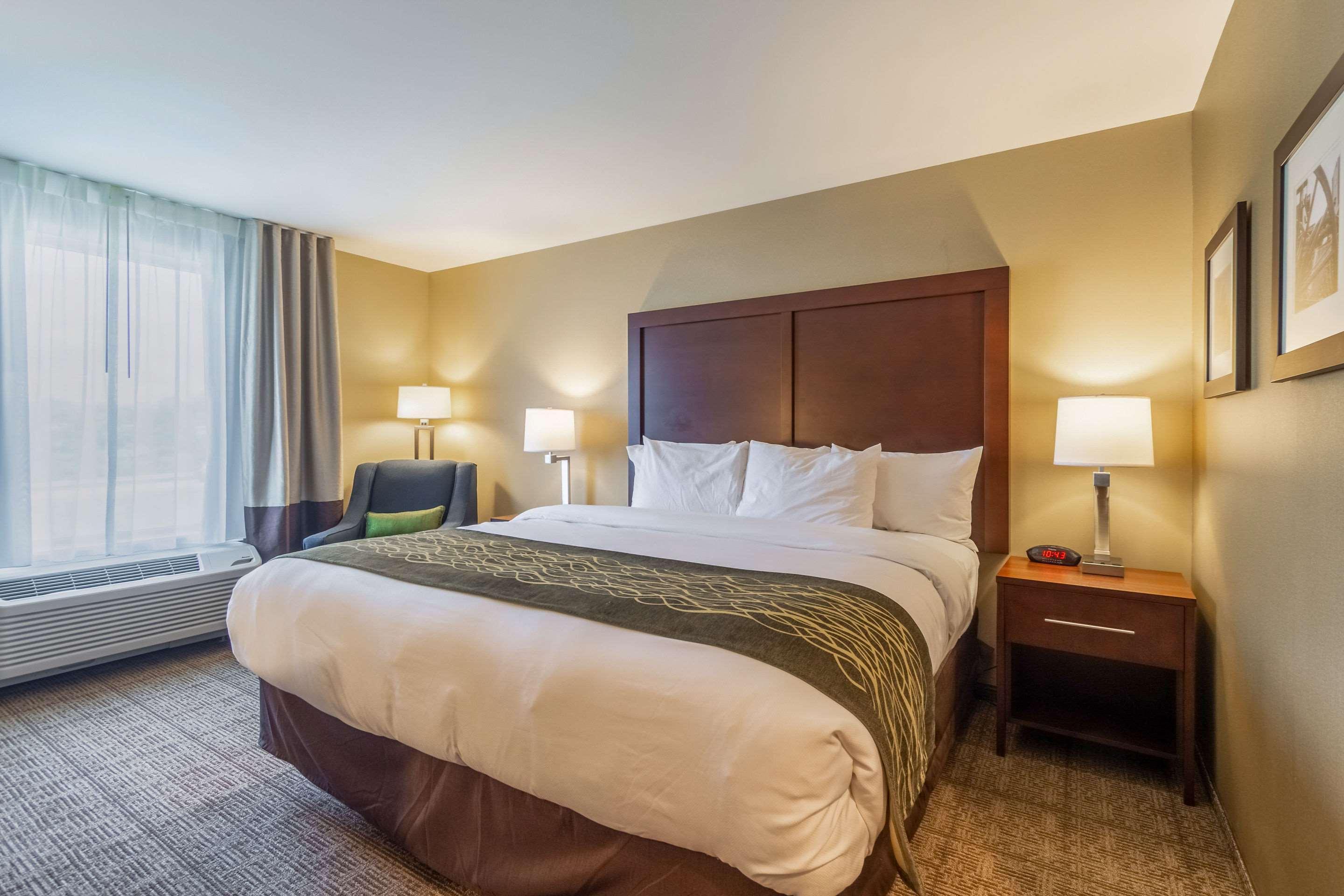 Comfort Inn & Suites - Harrisburg Airport - Hershey South Middletown  Εξωτερικό φωτογραφία