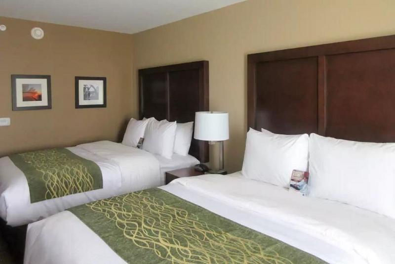 Comfort Inn & Suites - Harrisburg Airport - Hershey South Middletown  Εξωτερικό φωτογραφία